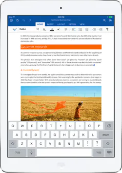 MS Word on iPad