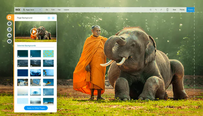 Wix Image Options