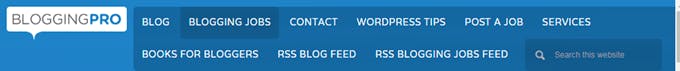Blogging Pro